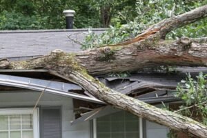 storm-damage-1